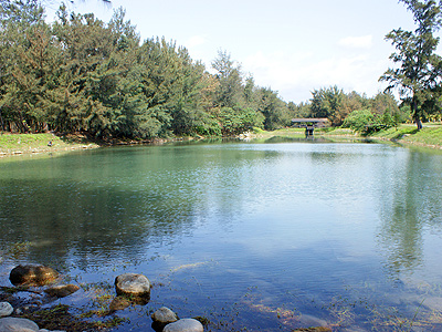 遊客素質低 台東森林公園四處飄垃圾