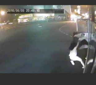 姊妹被摔出公車 客運:不算是機械故障